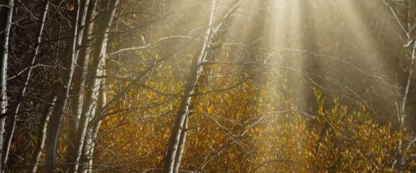 Doug Barrett Photography